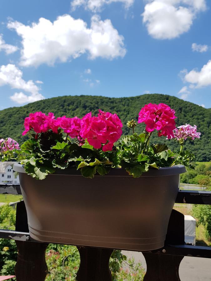 Weingut Erich Serwazi Mesenich Exterior photo